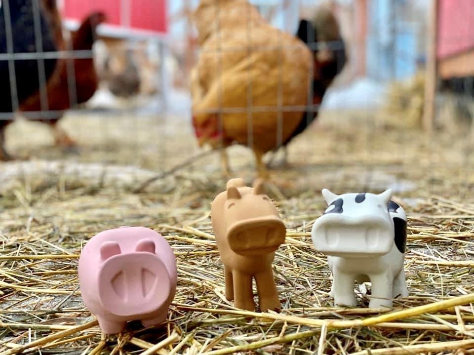 Barnyard Bath Pals - Farm Themed Set/3 - TheToysRoom