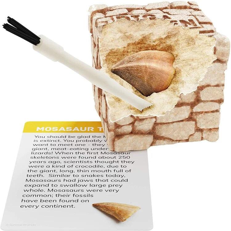 Dig a Dozen Fossil Bricks - TheToysRoom