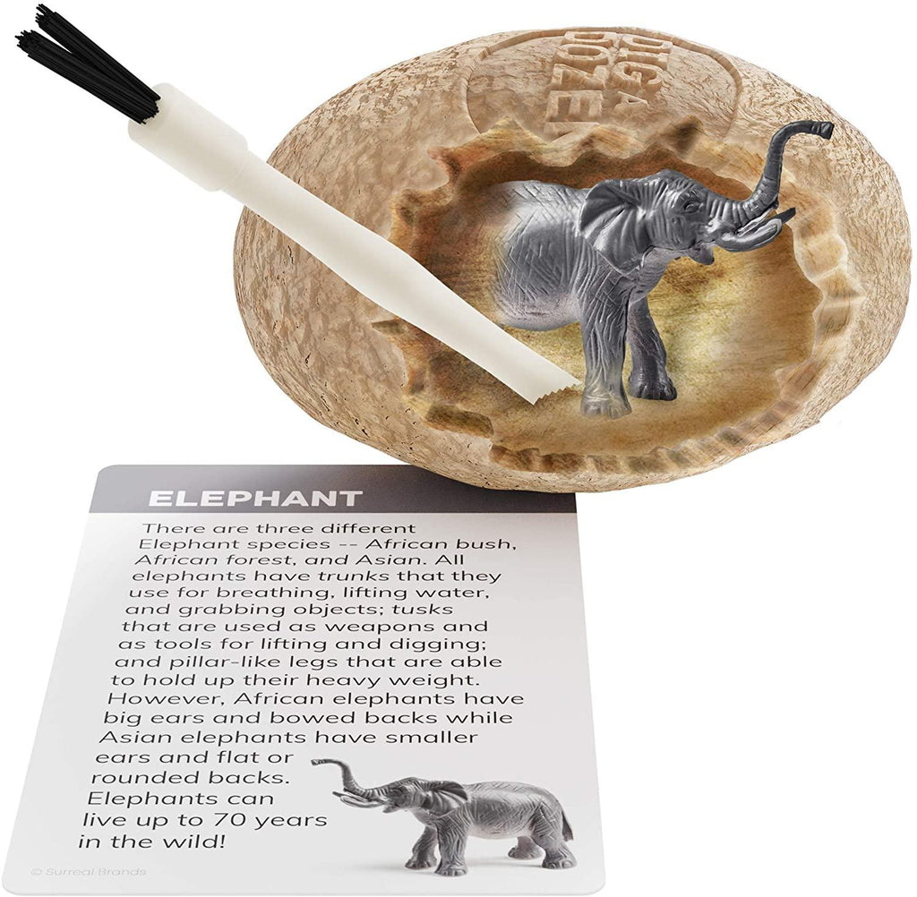 Dig a Dozen Safari Animals Kit - TheToysRoom