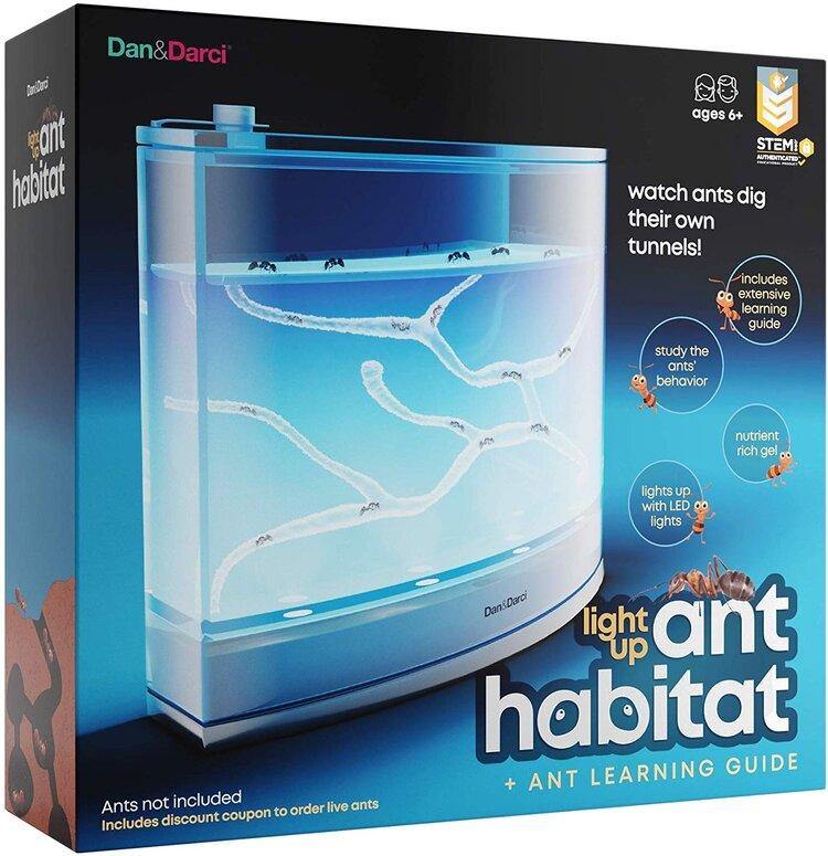 Light-Up Ant Habitat - LED Ant Farm for Live Ants - TheToysRoom