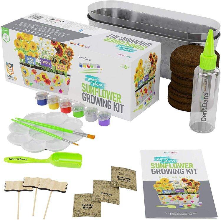 Paint & Plant Sunflower Growing Kit - TheToysRoom