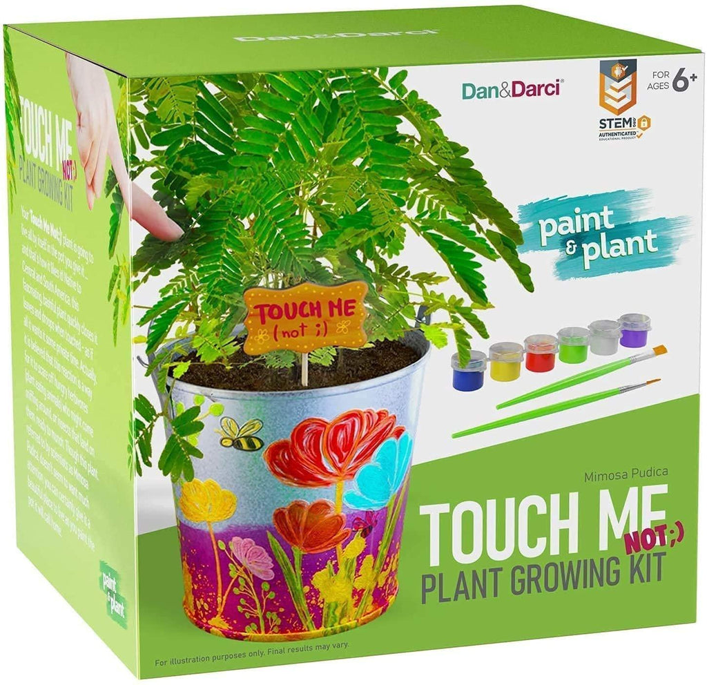 Paint & Plant Touch-Me-Not Growing Kit - TheToysRoom