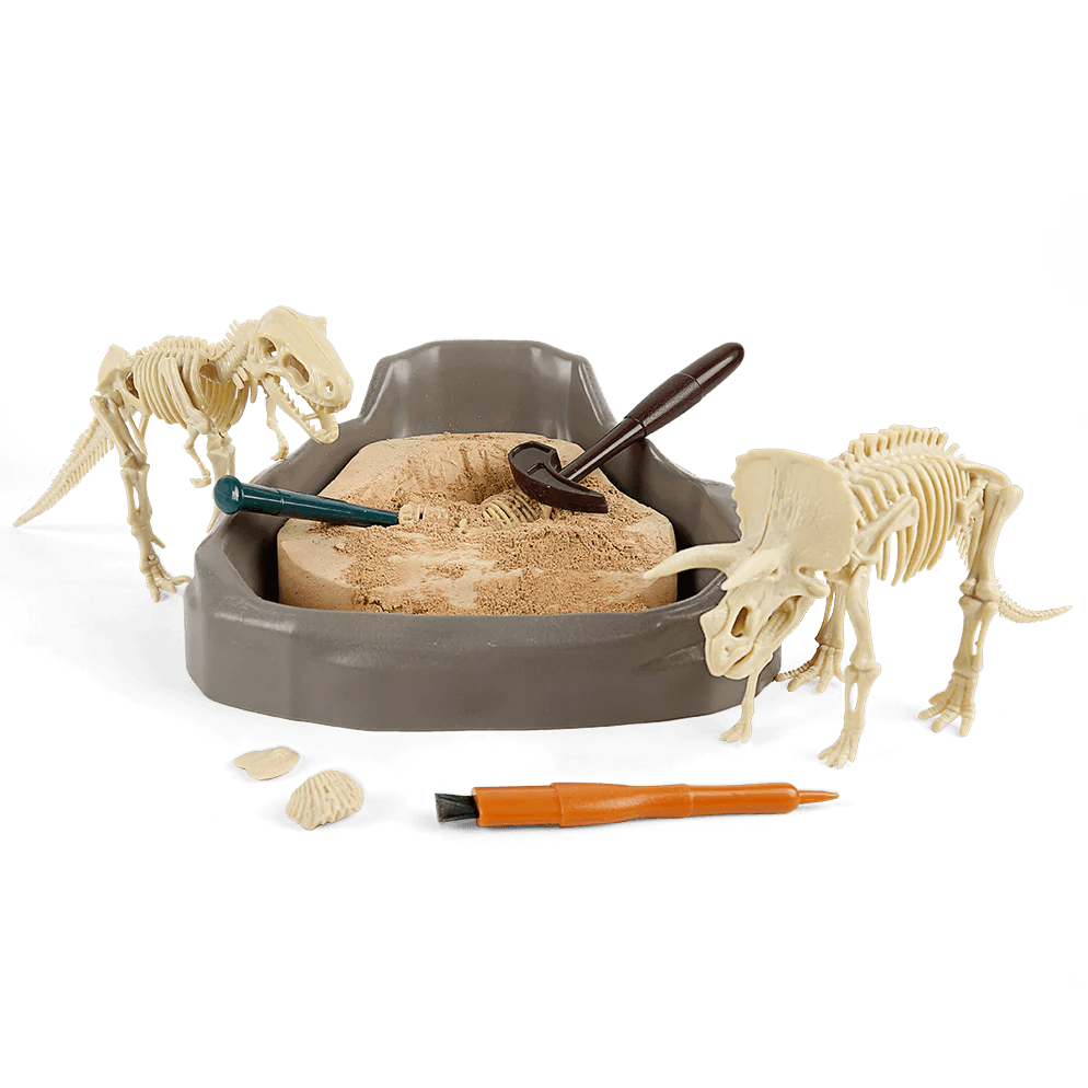 HAPE Cretaceous Deluxe Dinosaur Fossil Dig Kit - TheToysRoom